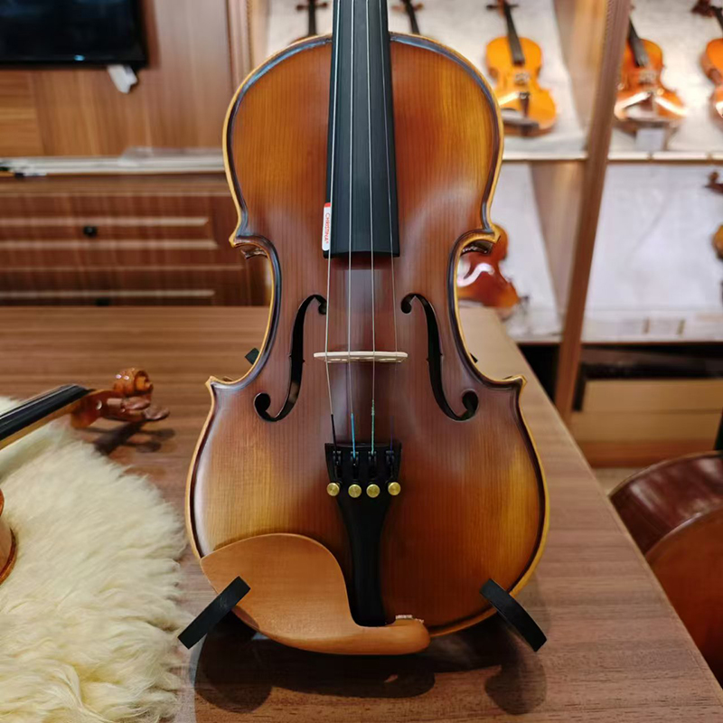 CHRISTINA Viool V02 voor begin - Violin Rosin Bow recensie en prijs