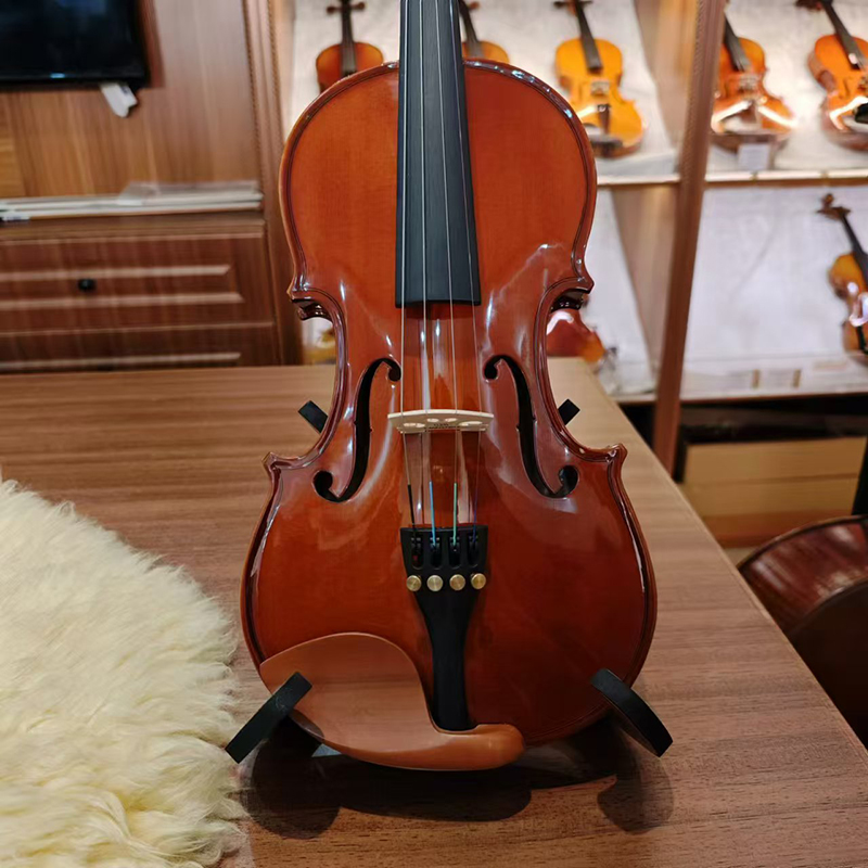 CHRISTINA Viool V02 voor begin - Violin Rosin Bow recensie en prijs